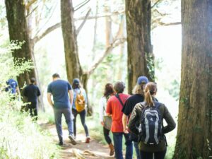 kitera-dent-jWv1ILisuSc-unsplash (1)