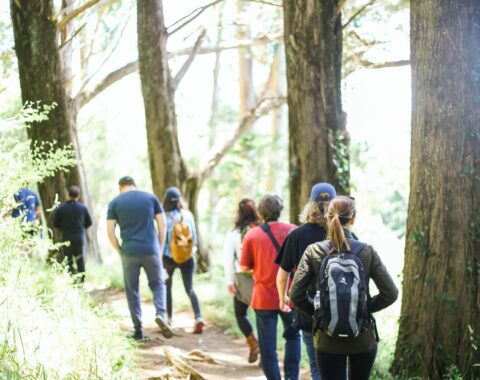 kitera-dent-jWv1ILisuSc-unsplash (1)